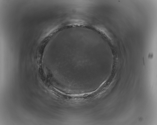 X0000096411399200802071645