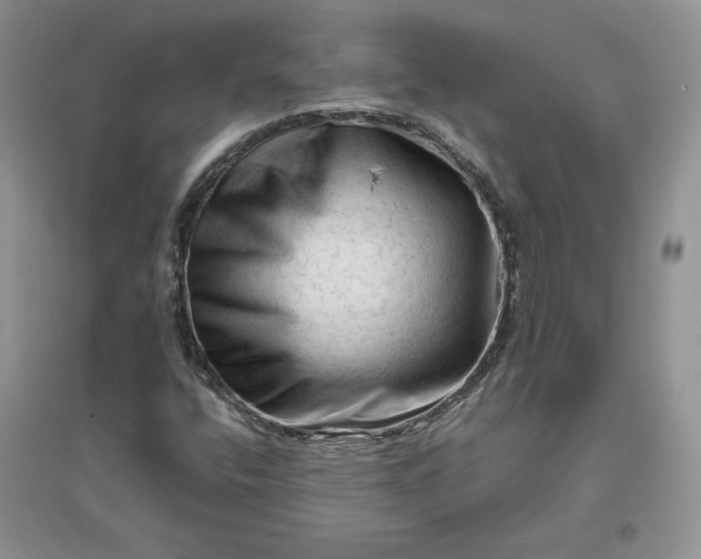 X0000096411400200802071645
