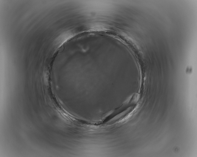 X0000096411401200802071645