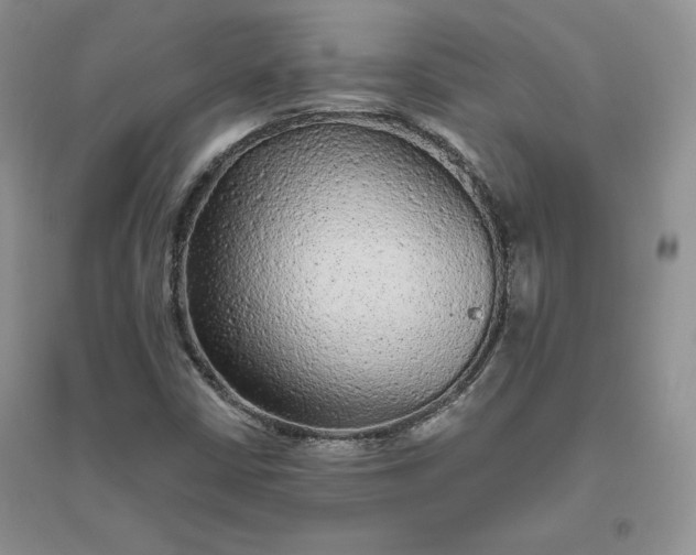 X0000096411402200802071645