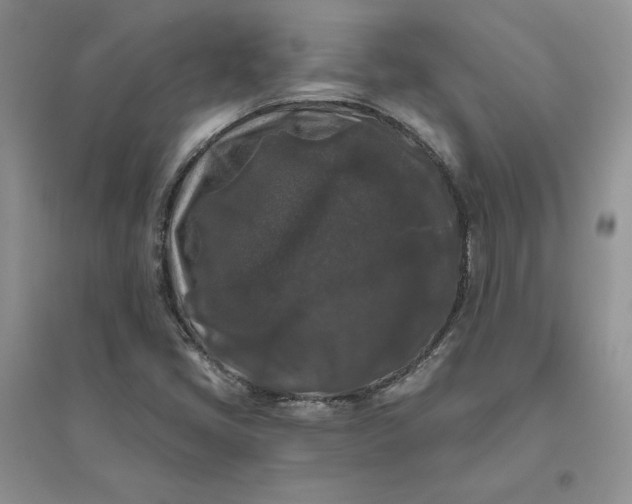 X0000096411405200802071645