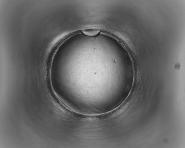 X0000096411406200802071645