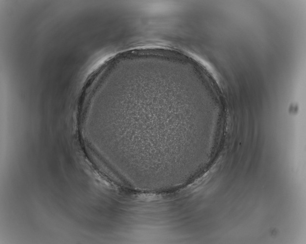 X0000096411407200802071645
