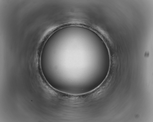 X0000096411408200802071645