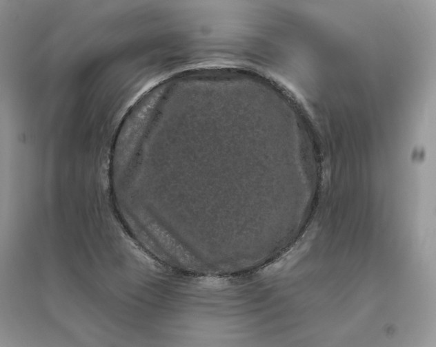 X0000096411409200802071645