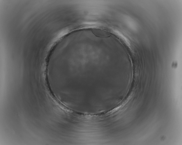 X0000096411411200802071645