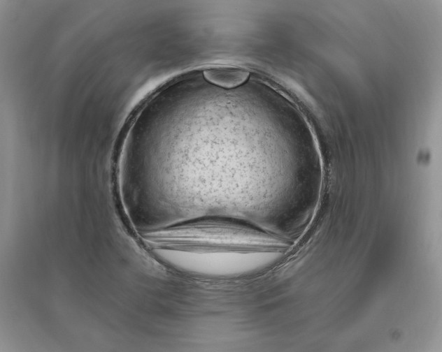 X0000096411412200802071645