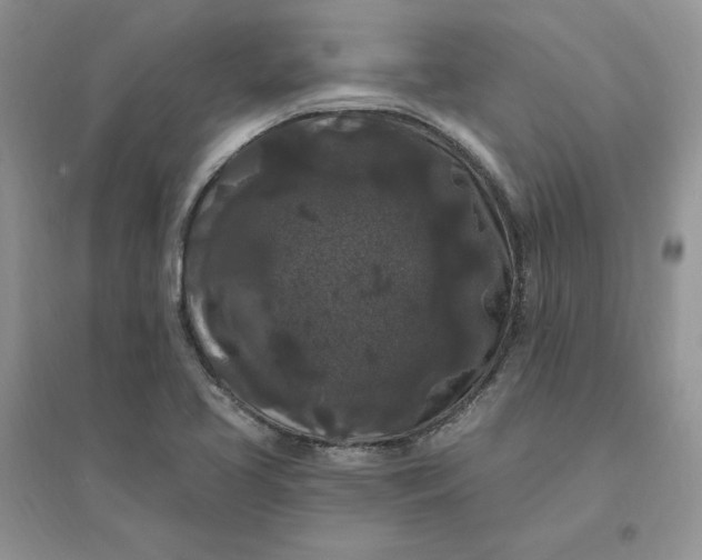 X0000096411413200802071645