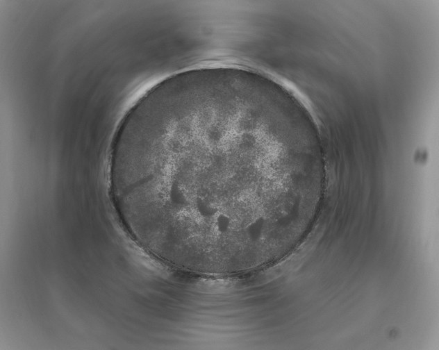 X0000096411415200802071645