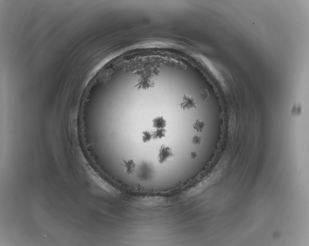 X0000096411417200802071645