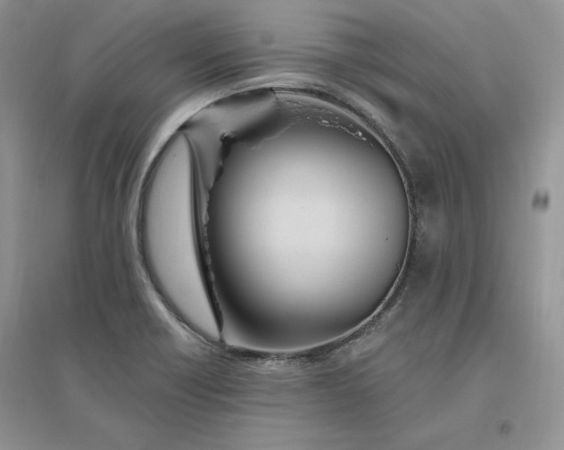 X0000096411418200802071645