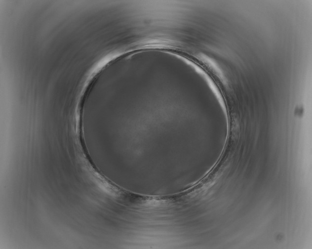 X0000096411419200802071645