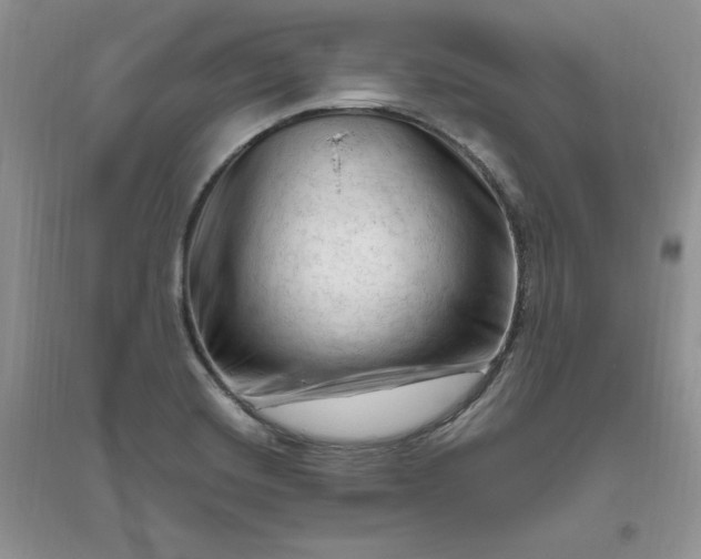 X0000096411420200802071645