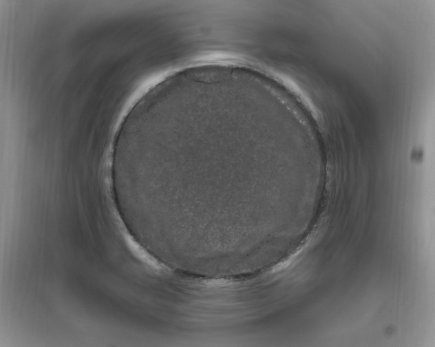 X0000096411421200802071645