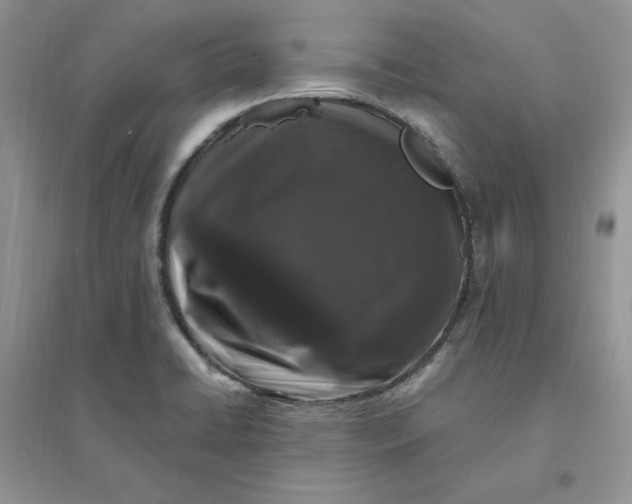 X0000096411422200802071645