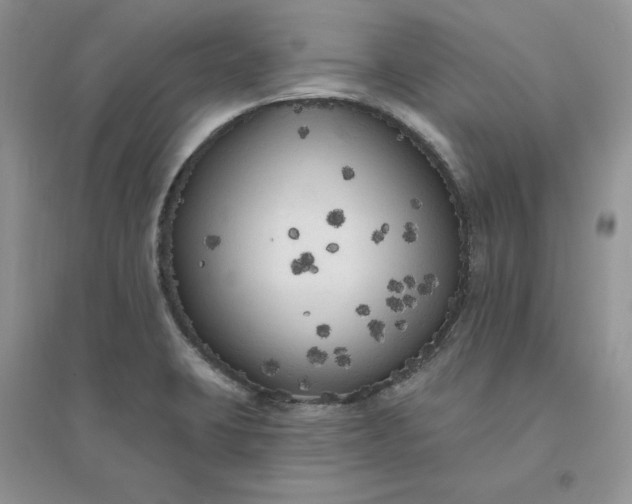 X0000096411423200802071645