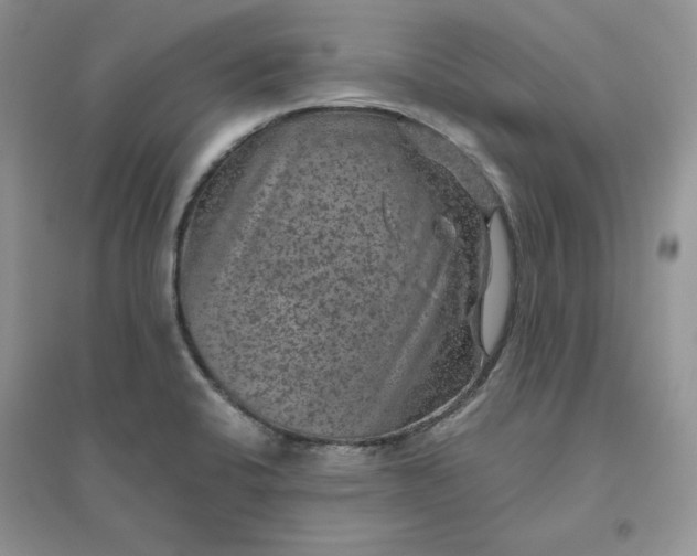 X0000096411424200802071645