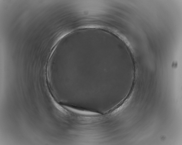 X0000096411425200802071645