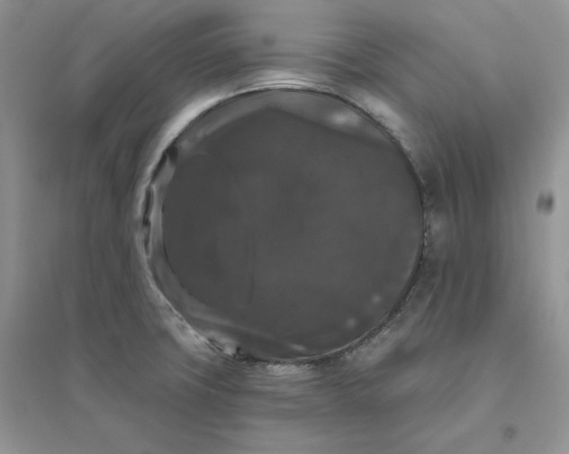 X0000096411427200802071645