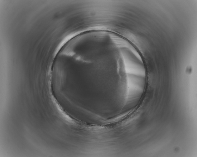 X0000096411428200802071645