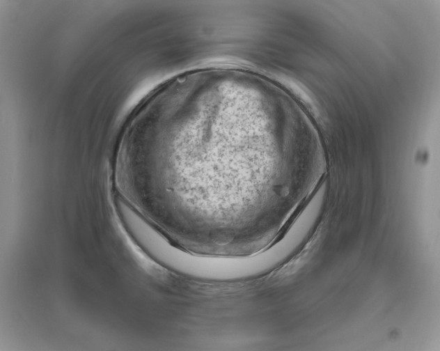 X0000096411430200802071645