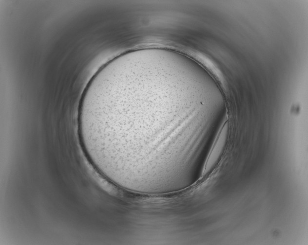 X0000096411431200802071645