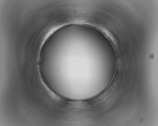 X0000096411432200802071645