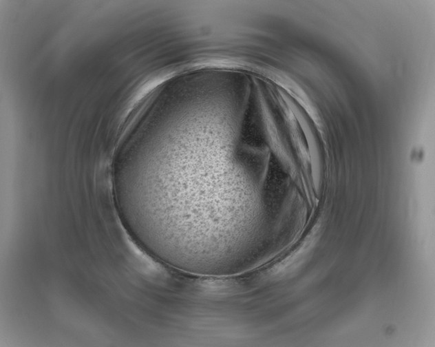X0000096411433200802071645