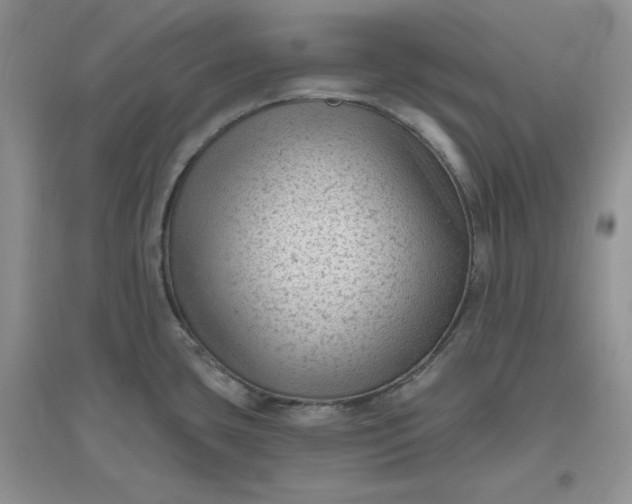 X0000096411435200802071645