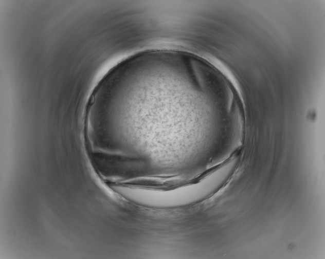 X0000096411437200802071645