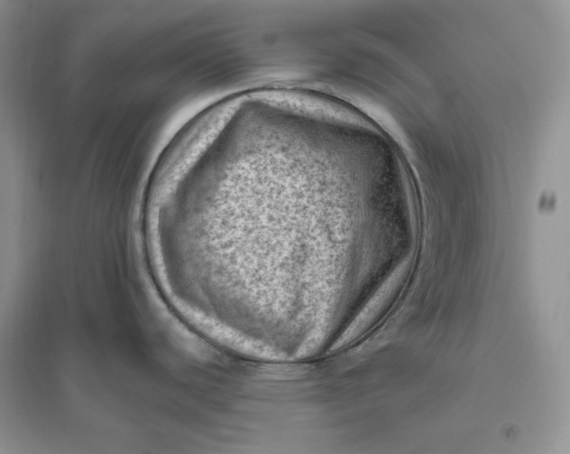 X0000096411440200802071645