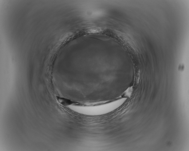 X0000096411441200802071644