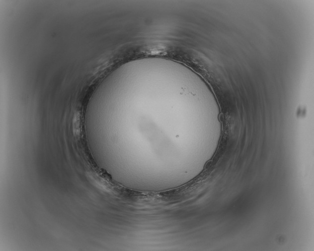 X0000096411442200802071644