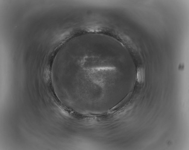 X0000096411444200802071644