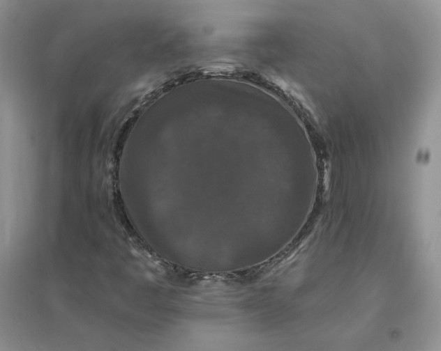 X0000096411445200802071644