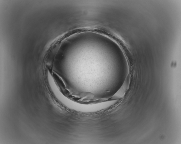 X0000096411448200802071644