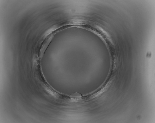 X0000096411449200802071644