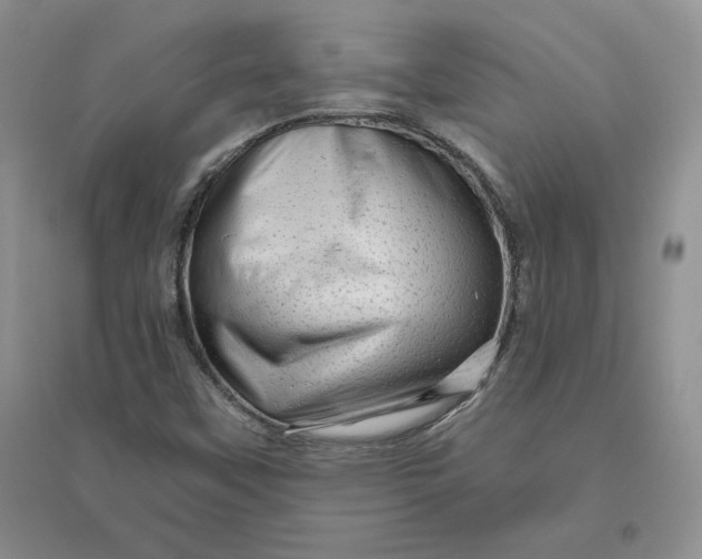 X0000096411451200802071644