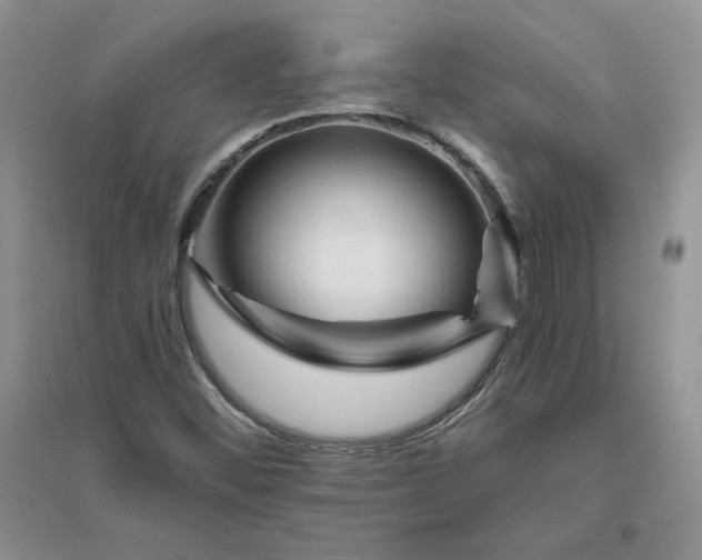 X0000096411452200802071644