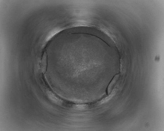 X0000096411453200802071644