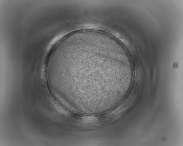 X0000096411454200802071644