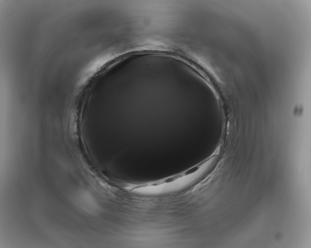 X0000096411455200802071644