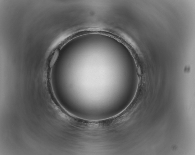 X0000096411456200802071644