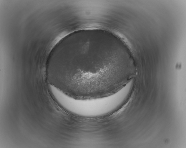 X0000096411457200802071644