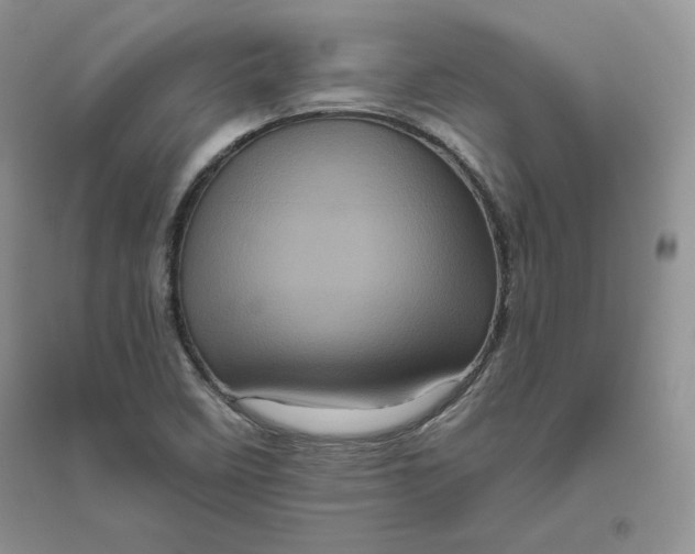 X0000096411458200802071644