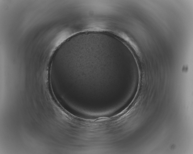 X0000096411459200802071644