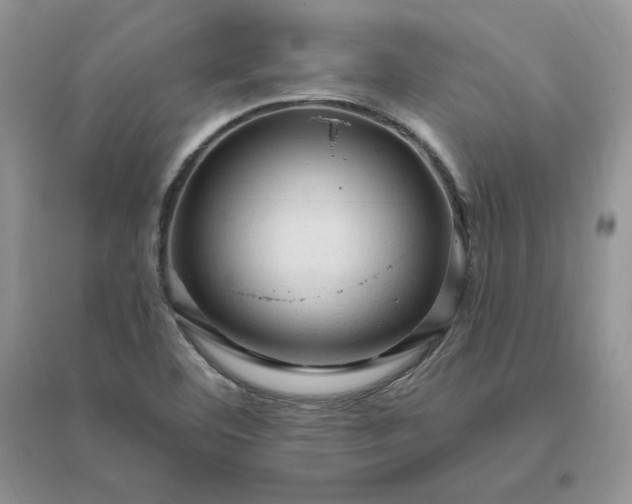 X0000096411460200802071644