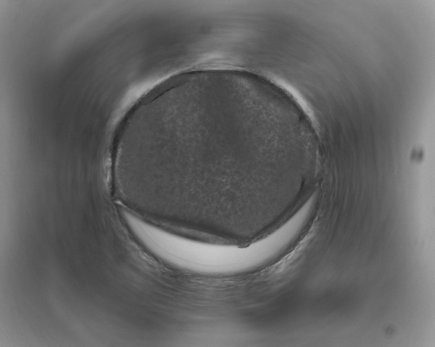 X0000096411461200802071644
