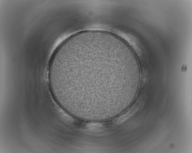 X0000096411462200802071644