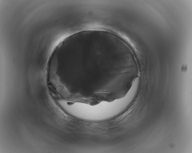 X0000096411463200802071644